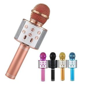 MICROFONO KARAOKE WS858